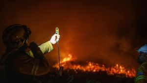 Reprograman la Fiesta Nacional de la Trucha en Junín de los Andes por los incendios: la nueva fecha