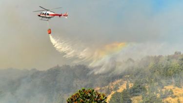 Un incendio de gran magnitud en Valle Magdalena, en el parque Lanín. Foto: Gentileza Neuquén Informa. 