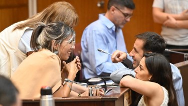 El bloque del MPN alineó a los disidentes como Gerardo Gutiérrez. Foto: Florencia Salto.