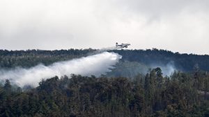 Llegan a Neuquén los aviones alquilados para combatir incendios: uno de los contratos quedó desierto