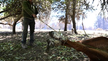 Crónica de un incendio esperado y una respuesta improvisada en la Patagonia