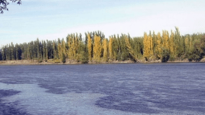 Quién era el hombre que murió ahogado en Choele Choel: su esposa dijo que no sabía nadar