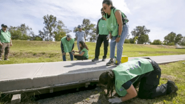 Encontraron huevos del mosquito trasmisor del dengue en Centenario. Foto: Gentileza Neuquén Informa.  