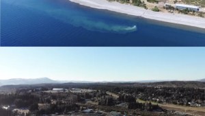 Causó alarma un derrame de efluentes cloacales de Bariloche en el lago Nahuel Huapi