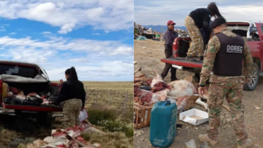 Caza ilegal de guanacos en Santa Cruz. Foto: La Opinión Austral