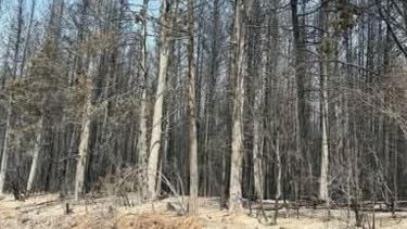 Se logró contener el avance del fuego en uno de los incendios en Chubut. Foto: Gentileza Facebook La Radio de la cordillera 105.5 FM.