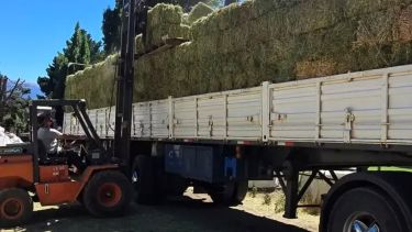 Weretilneck declaró la emergencia agropecuaria por los incendios y viaja a Buenos Aires a gestionar asistencia