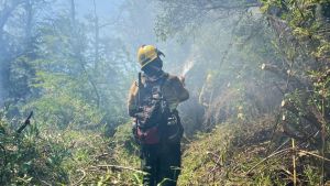 La Patagonia se incendia y los números queman: se subejecutó el presupuesto destinado al manejo del fuego