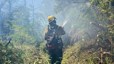 en 2024 sólo se ejecutó el 22% del presupuesto destinado al manejo del fuego. Foto: gentileza
