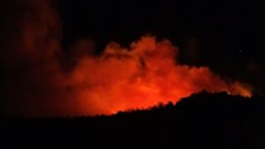 Crece el incendio del parque Los Alerces: se unieron los dos focos activos y cierran senderos