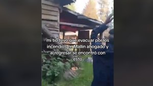 Video | Milagro en El Bolsón: se evacuó y cuando regresó su casa estaba a salvo