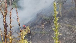 En el parque Lanín la superficie afectada del incendio subió a 22 mil hectáreas: ráfagas este viernes