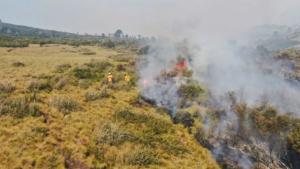 Preocupación por los incendios en el parque Lanín: sin lluvias «de acá a 15 días», dijo Luciana Ortiz Luna