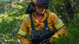 Ortiz Luna sobre los incendios en Neuquén: «Esto es una guerra y el enemigo es mucho más fuerte que nosotros»