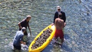 En Bariloche, el municipio autorizó el dragado del arroyo Angostura en un área intangible