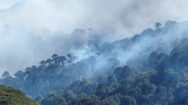 Activo un incendio en Valle Magdalena, en Neuquén, cercan al área Tromen. Foto: Gentileza Parque Nacional Lanín. 