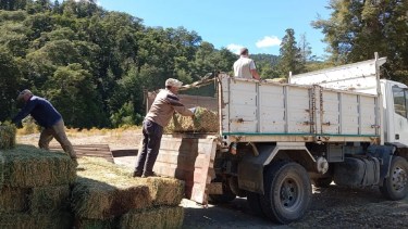 Fardos para los productores ganaderos afectados en El Bolsón.