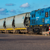 Imagen de Privatización de Belgrano Cargas: Grupo México y Wabtec se alían para competir por la empresa estatal