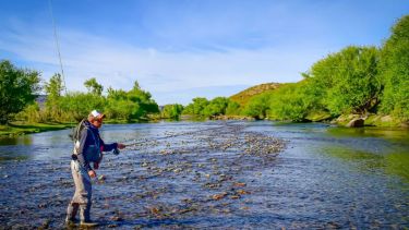 Pesca con mosca: dos neuquinos crearon una aplicación con información y experiencias