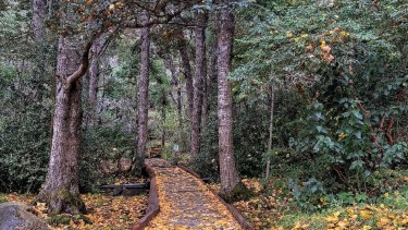El pueblo de la Patagonia al que todos quieren ir este 2025