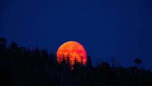 Alerta allá en el cielo: el fenómeno de la Luna de Sangre que persiste pese a la alineación planetaria