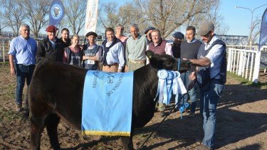 Weretilneck cuestionó que se beneficia solo a los grandes importadores. Foto: archivo.