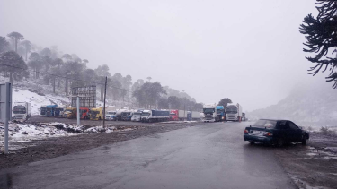 Camiones varados en Pino Hachado, entre Neuquén y Chile. Foto: gentileza.