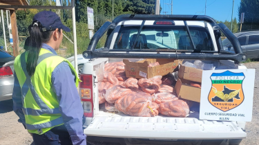 Intervino el Servicio Nacional de Sanidad y Calidad Agroalimentaria (Senasa). Foto: gentileza.