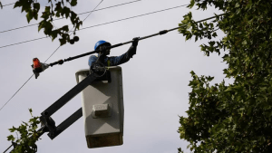 Corte de luz programado este viernes en Roca: cuánto durará y cuál será la zona afectada
