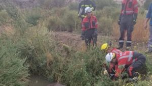 Milagroso rescate: Bomberos de Regina le salvaron la vida a un caballo que estuvo horas atrapado en un desagüe