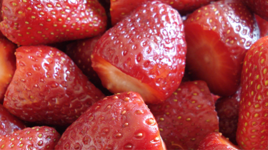 En Plottier se duplicó el área cultivada con frutillas.