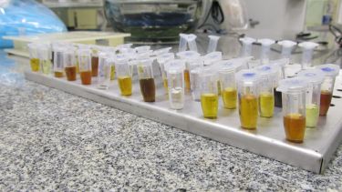 Los tubos son los extractos que se obtienen para hacer las investigaciones. Foto: gentileza