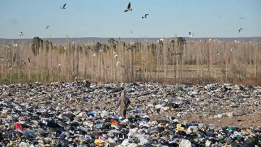 Basural de Cipolletti. Archivo