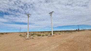 El predio está situado al este de la zona urbana de Plaza Huincul (Foto: Andrea Vazquez)