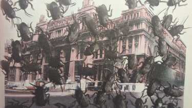 La fortaleza del Poder Judicial explica la debilidad del movimiento de derechos humanos