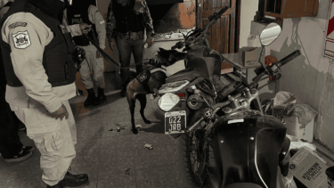 Prefectura allanó una vivienda en Bariloche y secuestró droga, dinero y municiones. Un joven de 25 años fue detenido.  Foto Gentileza.