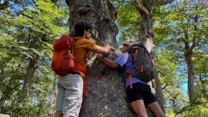 Turismo sin guías en Neuquén: ¿cómo afectará a los turistas la nueva normativa de Javier Milei?