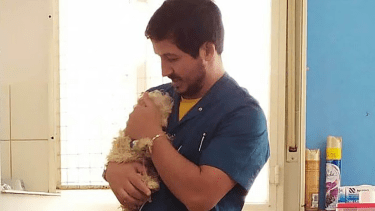 Heroico: en un acto de valentía un veterinario regresó a su consultorio, en medio del temporal de Bahía Blanca, para salvar a los animales