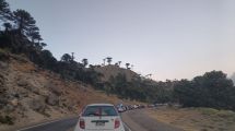 Imagen de Pino Hachado no tiene descanso: diez kilómetros de fila de autos desde Neuquén a Chile