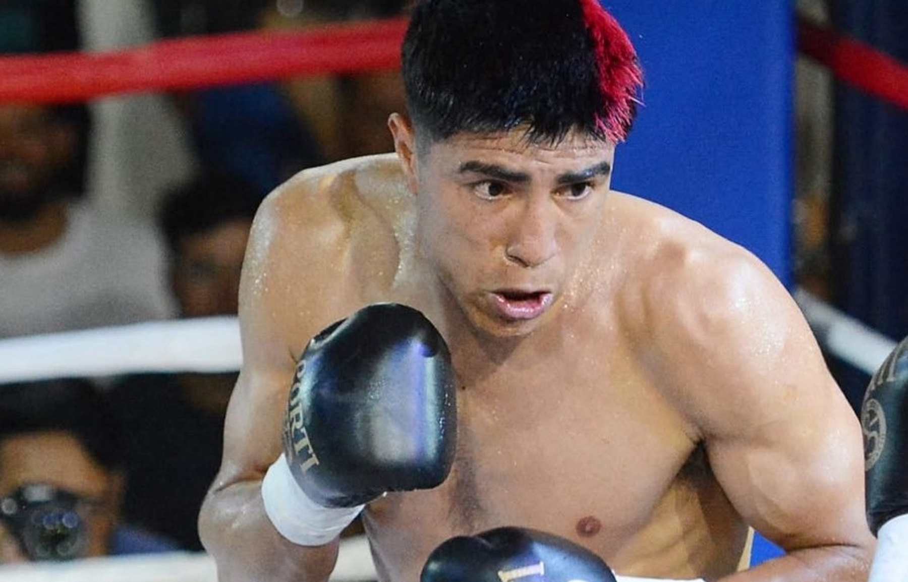 Llega el Festival de Boxeo a Cipolletti con peleas de roce internacional: cuándo será