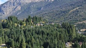 Juntas vecinales de Bariloche se agrupan en defensa del ambiente