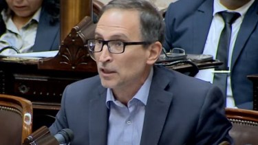 Agustín Domingo en Diputados este miércoles. Foto: Captura. 