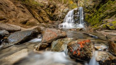Rescate de un joven en un sendero a la cascada Inacayal. Foto: Gentileza Turismo Villa La Angostura. 