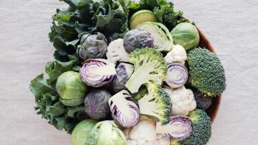 Su inclusión en la dieta no solo aporta beneficios nutricionales, sino que también contribuye a una mejor calidad de vida.