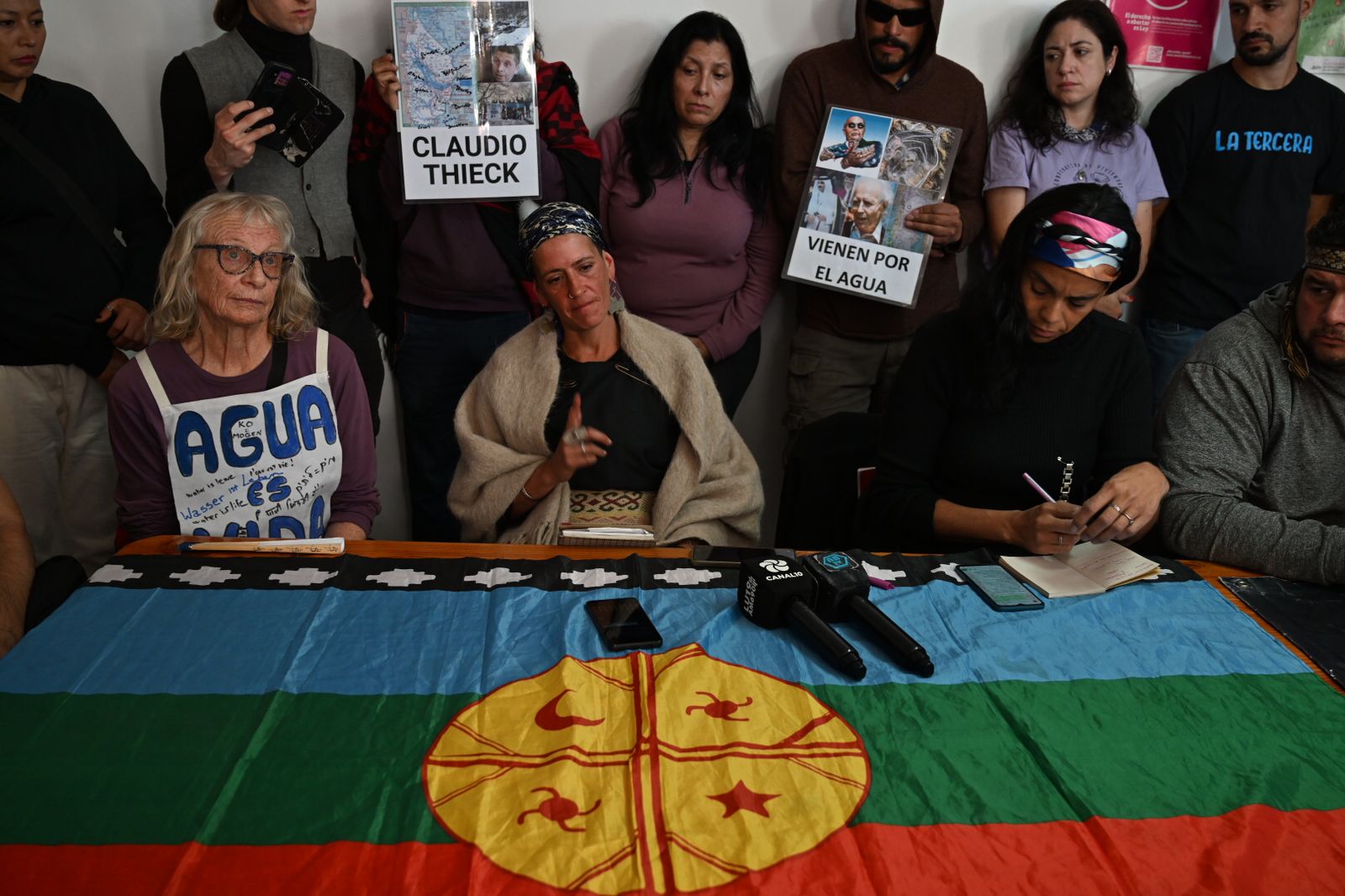 Los integrantes de la lof Buenuleo denunciaron el "avasalamiento" de su territorio. (Alfredo Leiva)
