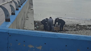 Conmoción por el hallazgo de un cuerpo en Comodoro Rivadavia. Foto: Gentileza canal 12  Web 