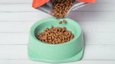 Alimento para mascotas