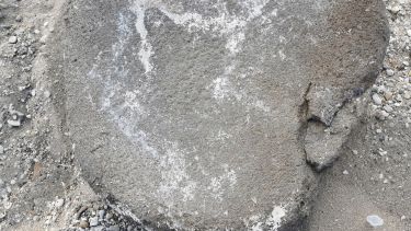 Uno de los artefacto de molienda inferior que confeccionaron con rocas los cazadores-recolectores. Foto: gentileza Conicet-Cenpat