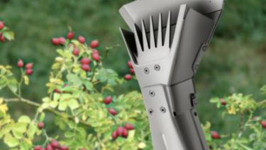 Herramienta para la recolección manual de rosa mosqueta, diseñada en la Universidad Nacional de Río Negro. Foto: gentileza 