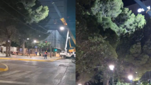 Gran operativo en el centro de Neuquén: cortan pinos tras el incidente en la Feria de los Artesanos